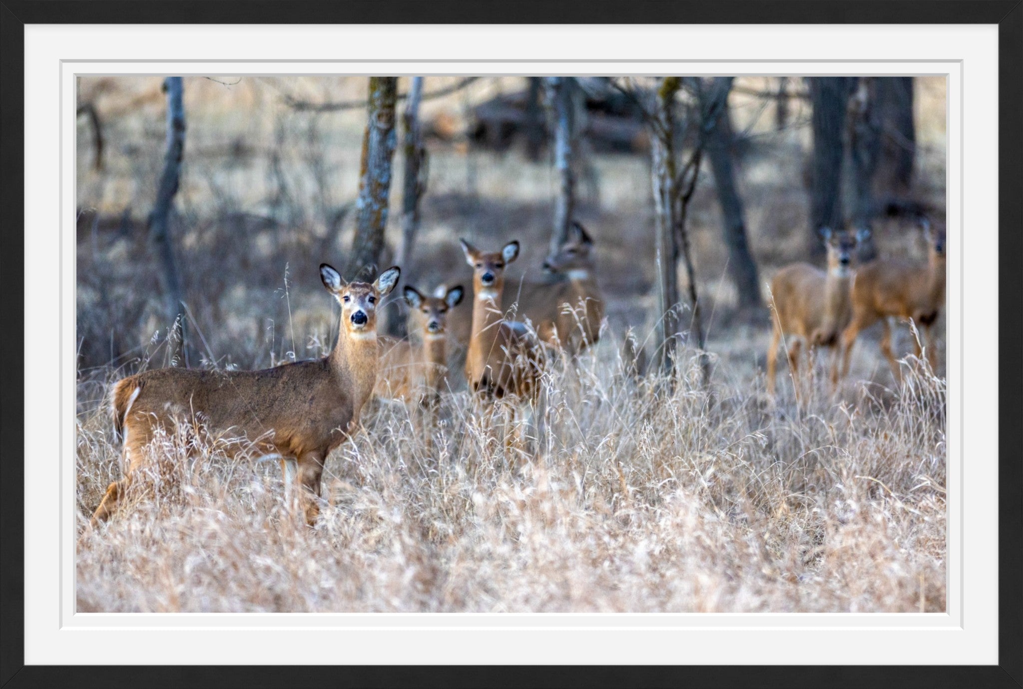 So Much for Camouflage I