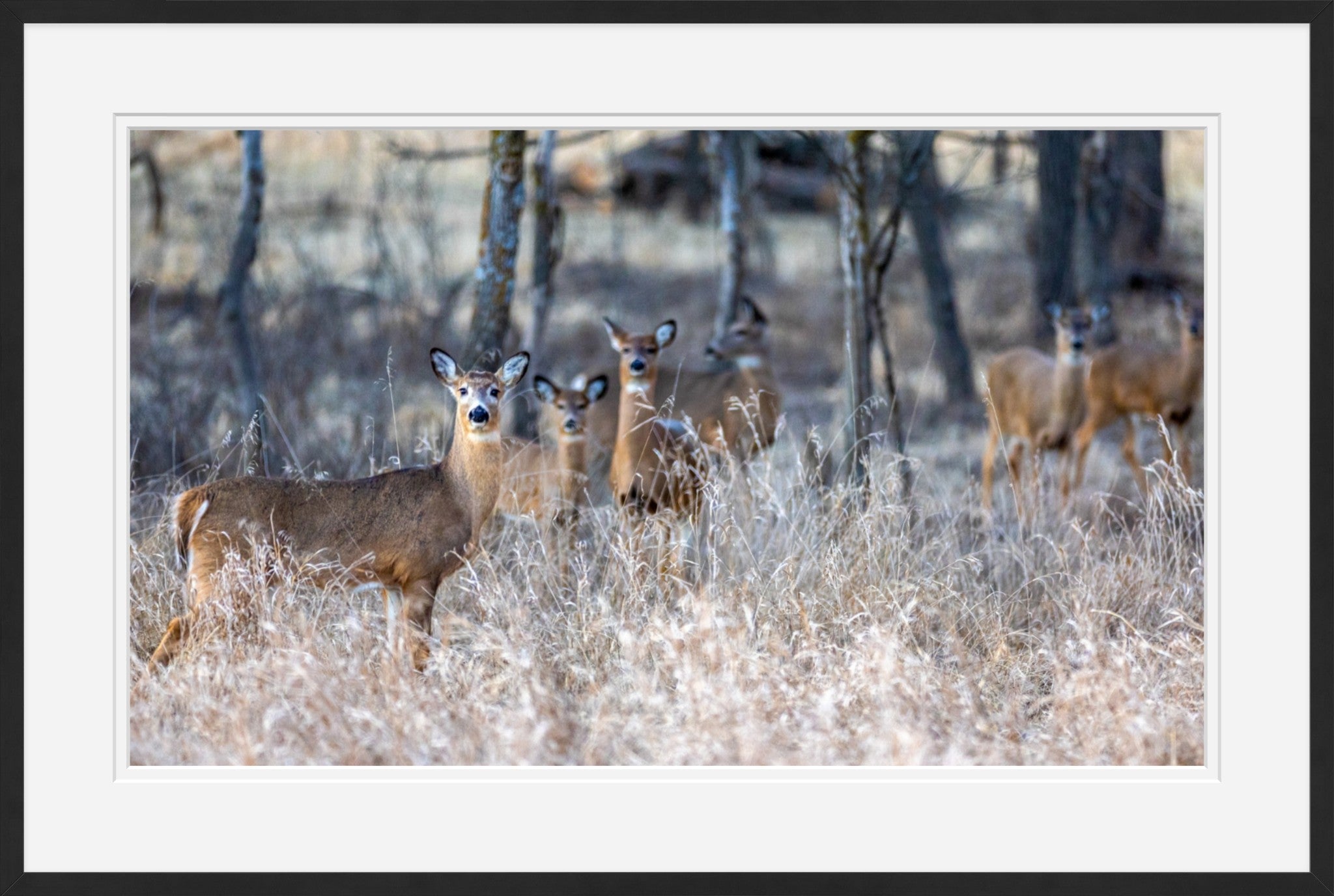 So Much for Camouflage I