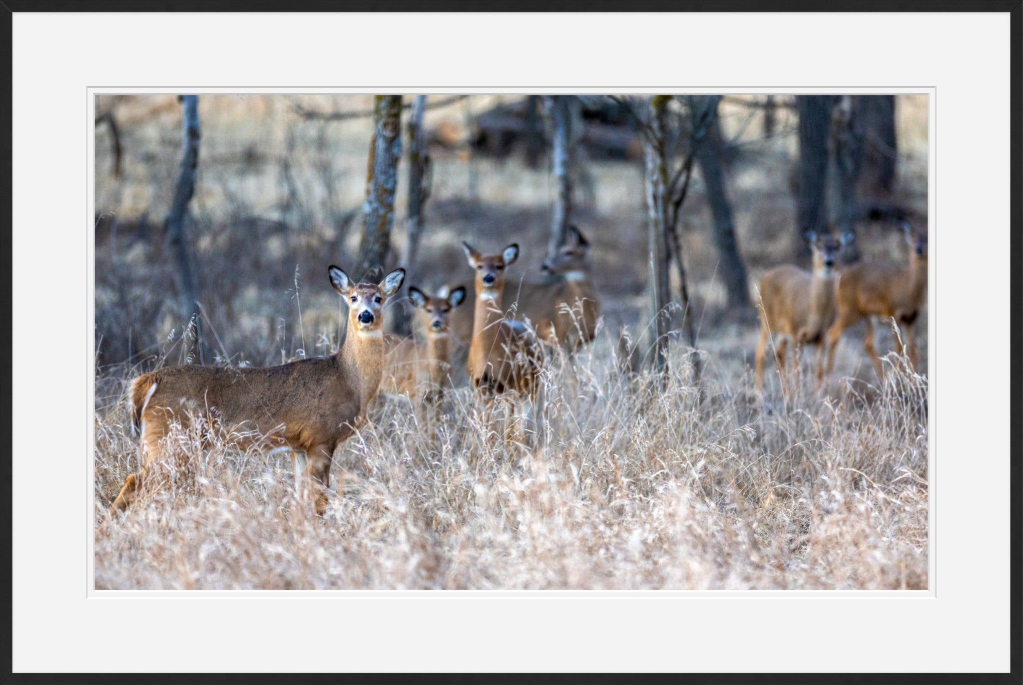 So Much for Camouflage I