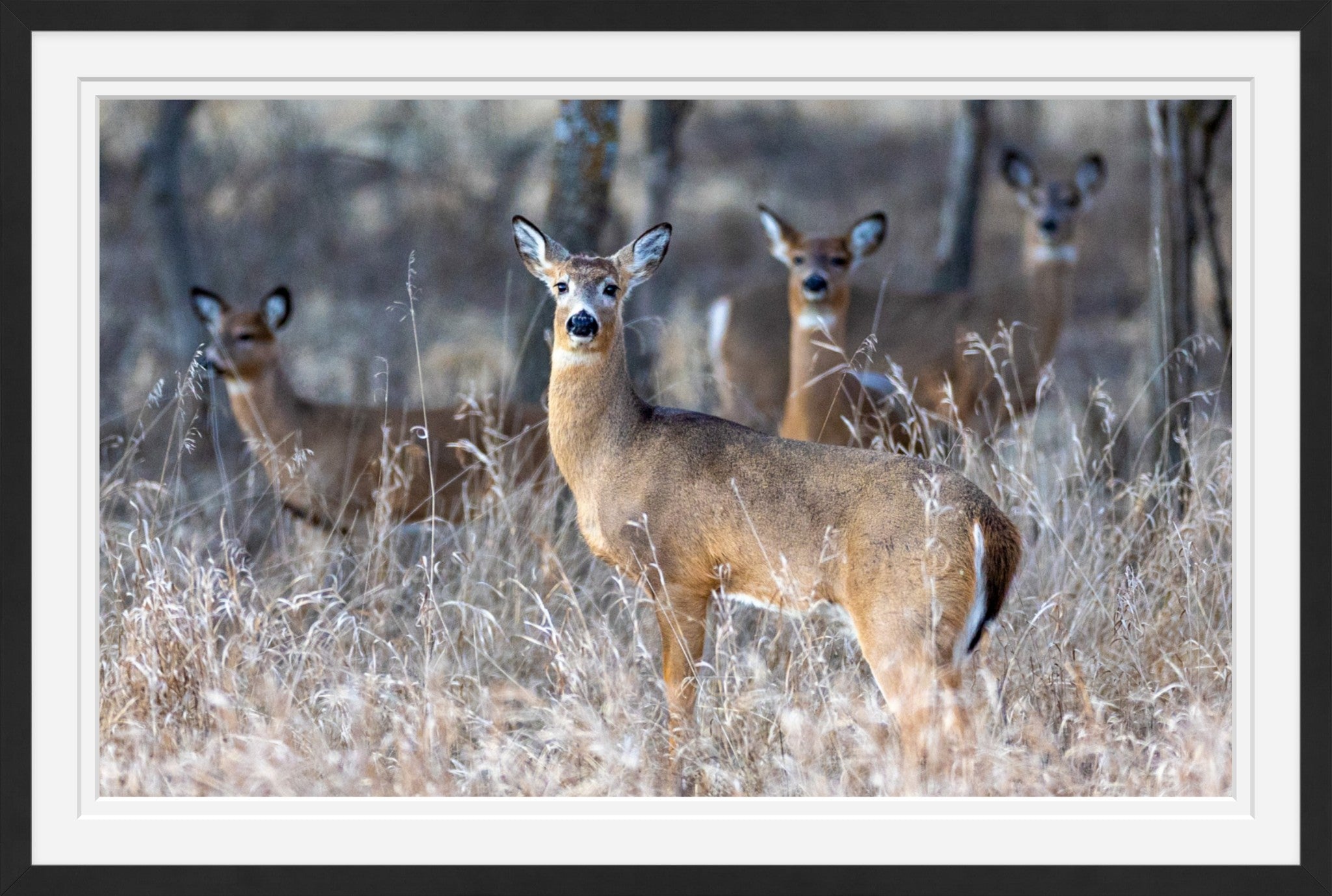 So Much for Camouflage II