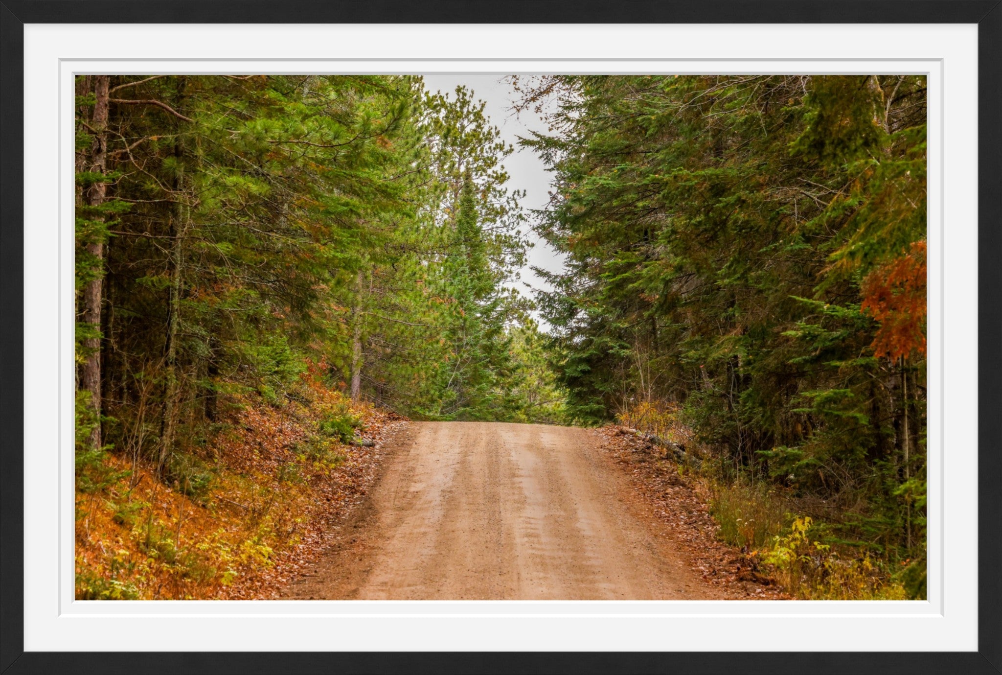 Two Inlets Forest Road