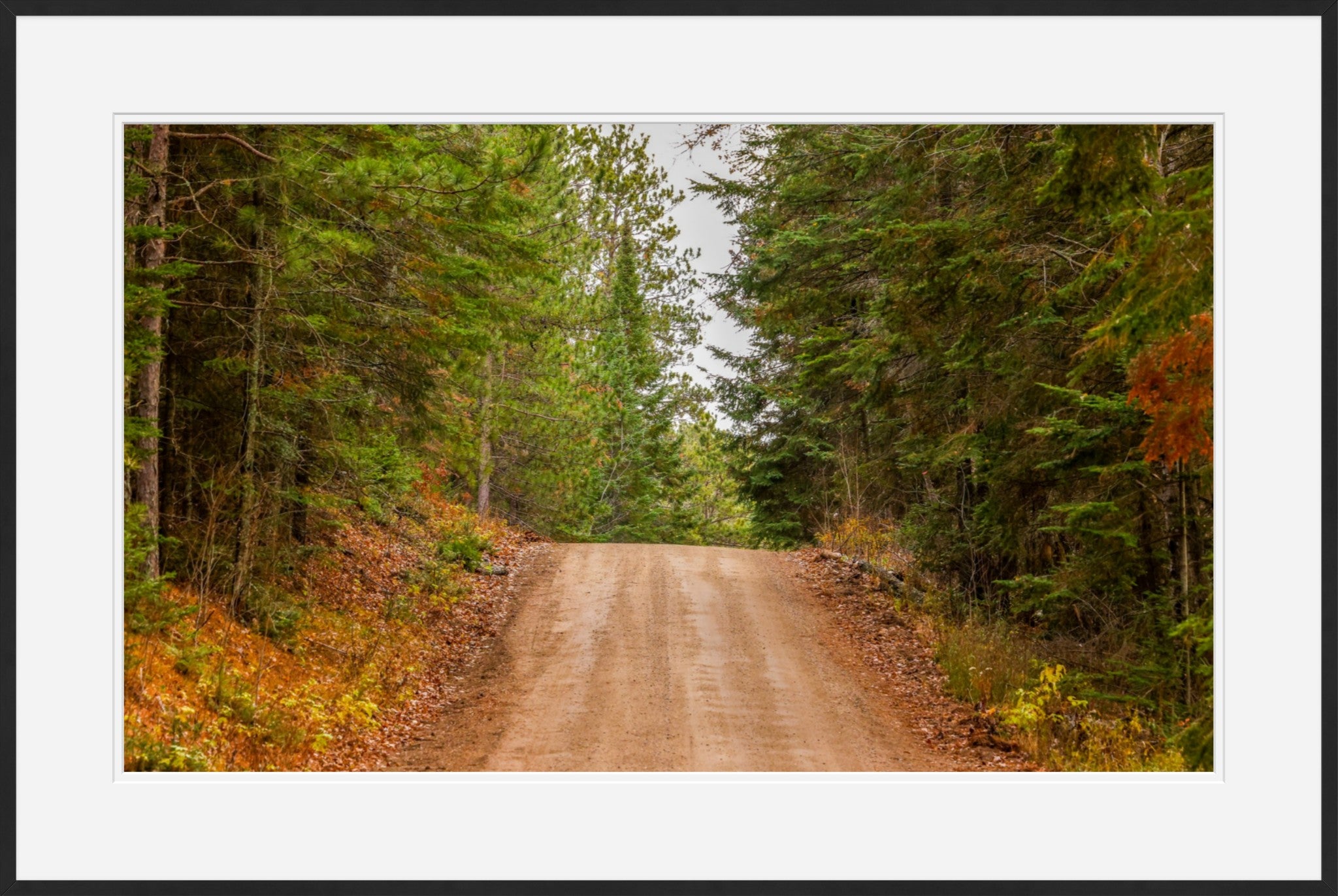 Two Inlets Forest Road
