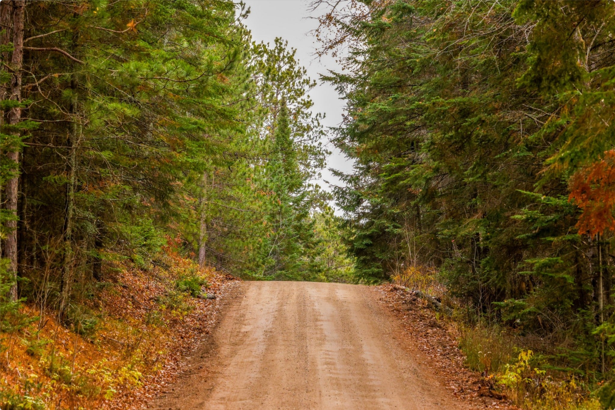 Two Inlets Forest Road